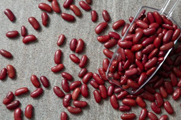 تصویر 4 از لوبیا قرمز کپسولی اندازه دقیق کیفیت قابل اعتماد